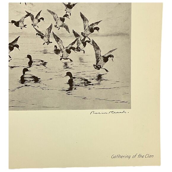 Roland Clark Gathering of the Clan Signed Etching Reproduction Nature Magazine 1 - Picture 2 of 3